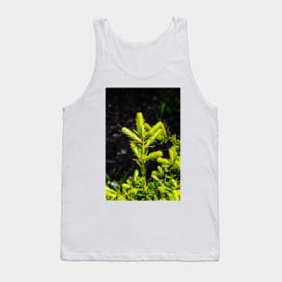 Evergreen in the Sun Tank Top